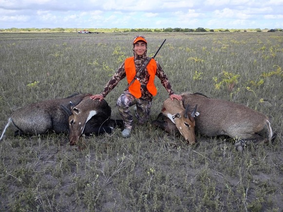 Kid with two nilgai harvests