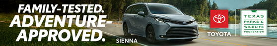 Toyota Sienna Banner Advertisement