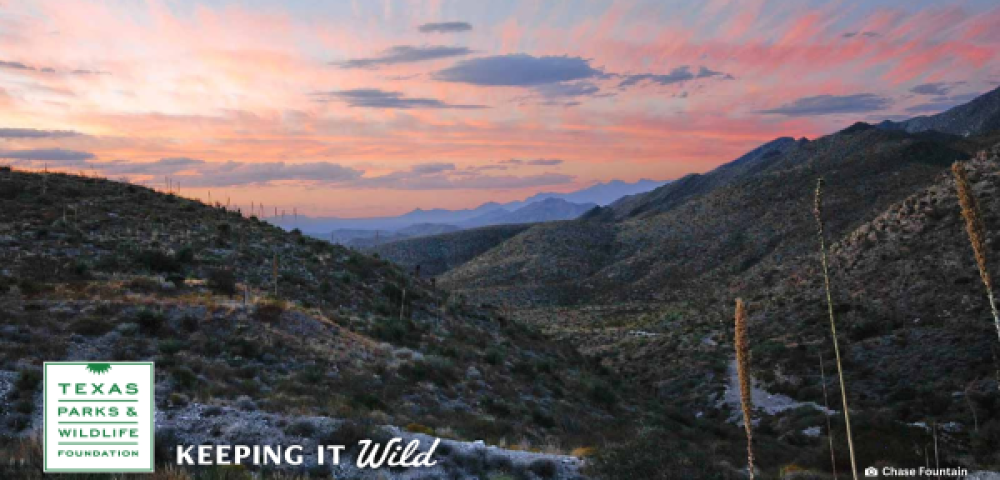 Franklin Mountains, with link