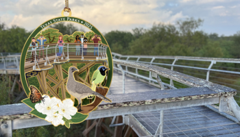 2025 SP Christmas ornament, link