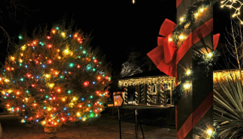 LBJ State Park lit up with Christmas, link