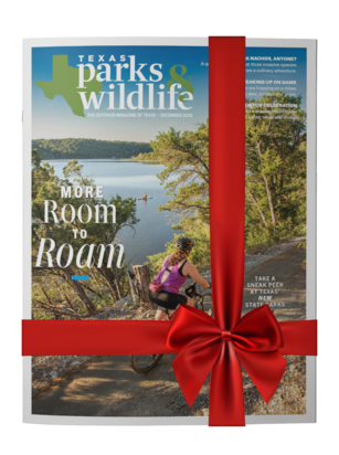 Jan/Feb 2026 magazine gift subscription