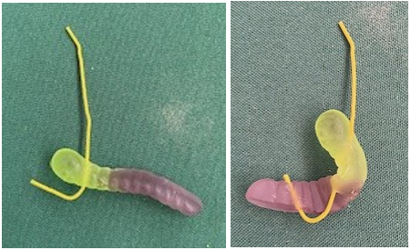 Picture of wrapping a gummy worm around a hook