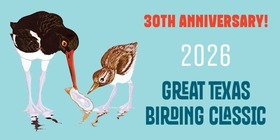 Great Tx Birding Classic 30th Anniversary, link