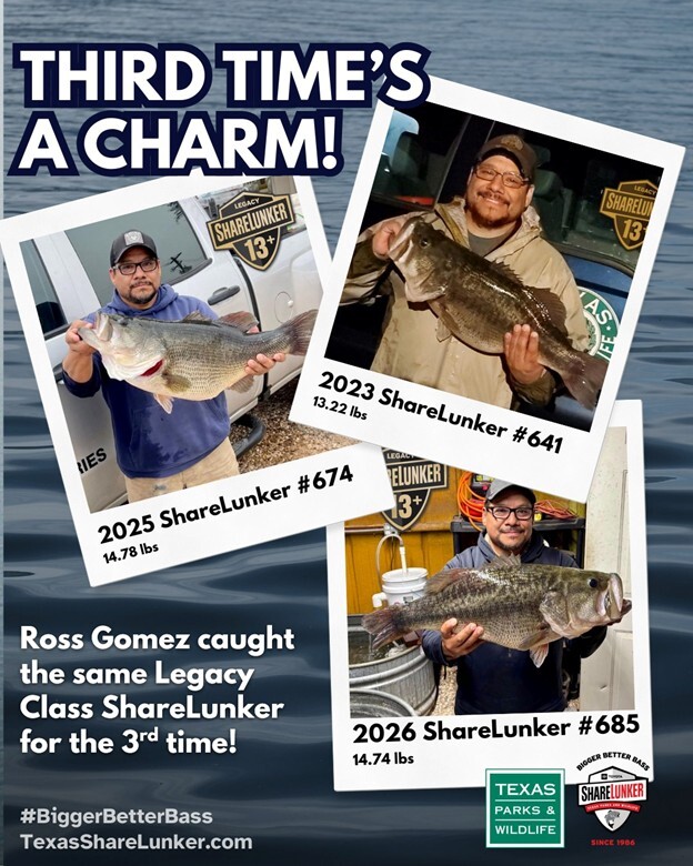 Picture of a ShareLunker