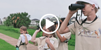 young bird watchers looking up, video link