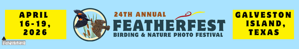 Feather Fest in Galveston April 16-19, link