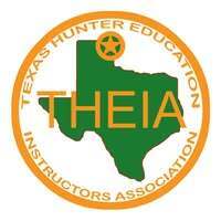 THEIA Logo