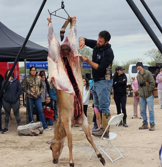 Archery instructor teaches families how to clean an elk harvest