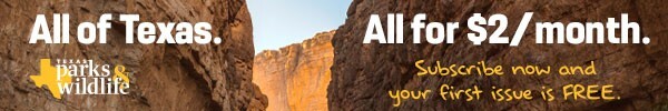 Subscribe to Texas Parks & wildlife magazine, link