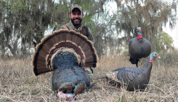 Hunter with turkey harvest and two decoys