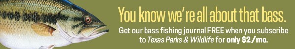 Subscribe to magazine and get bass journal free, link