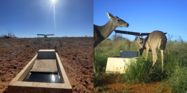 SidebySide_Guzzler_Chap