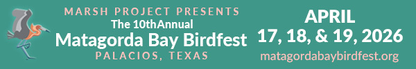 Matagorda Bay BirdFest, link