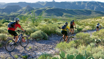Cyclists on trail at Big Bend Ranch SP, link