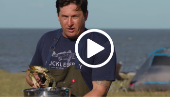 Man holding pot and live crab outdoors by a tent, video link