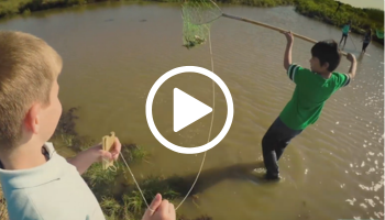 Boys crabbing, video link