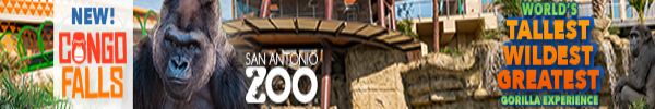 San Antonio Zoo, link