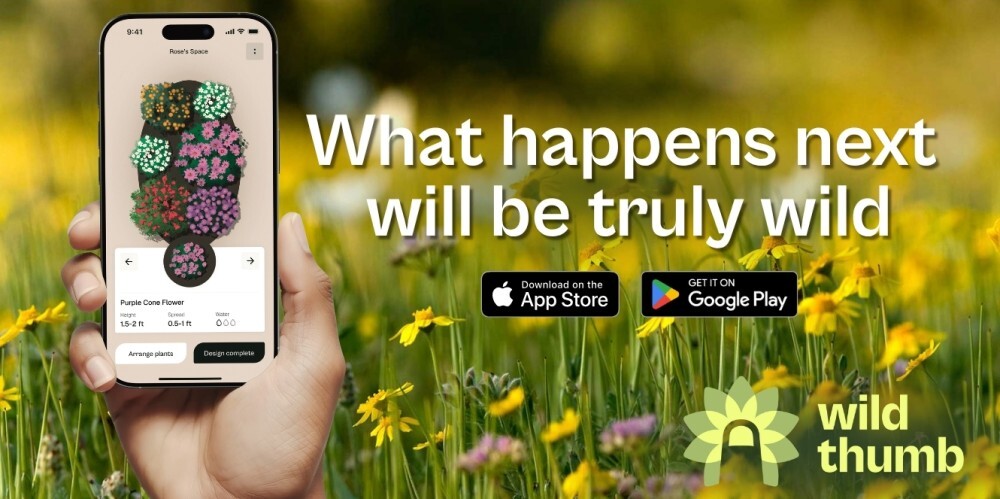 Wild Thumb app, link