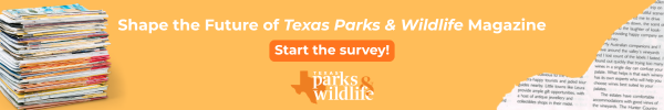 TP&W magazine survey, link