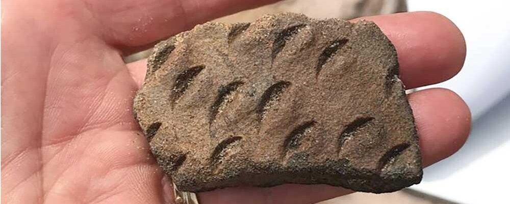 Pottery shard with fingernail marks
