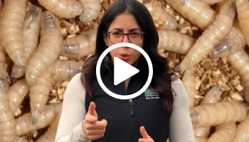 TPWD veterinarian with background filled with screwworm, video link