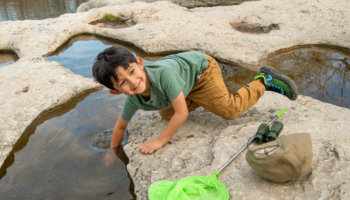 Young boy on rock reaching into water, link