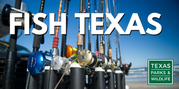 Fishing poles in a row, Fish Tx header