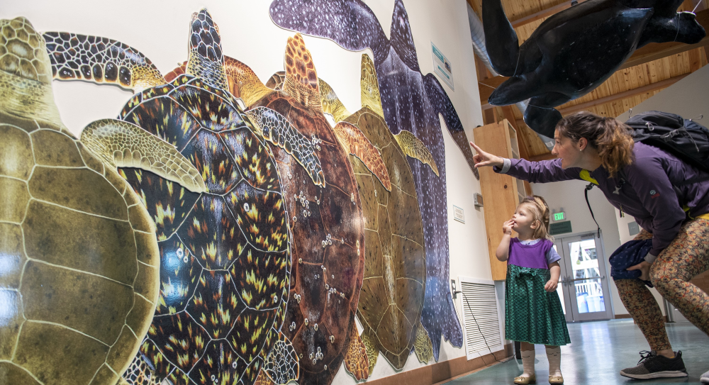 Mom and daughter admiring mural of the 5 sea turtles of Texas