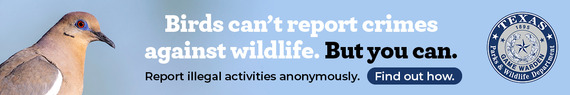 Tip411 - report wildlfie crimes, link