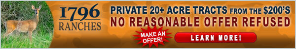 Texas land for sale, link