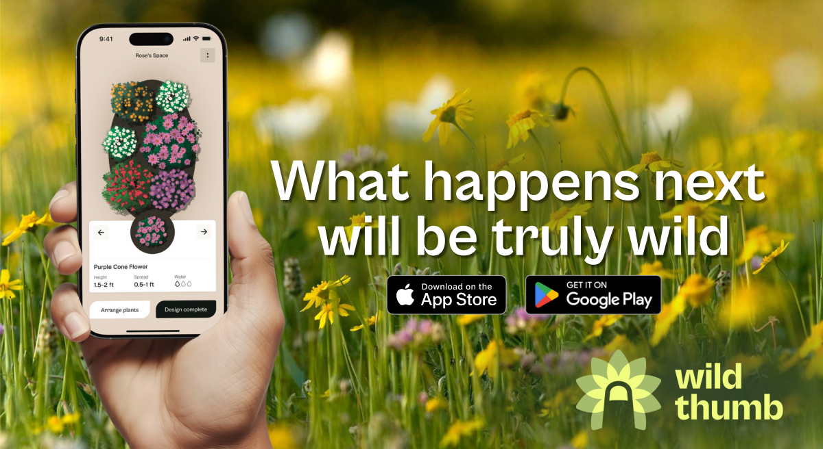 Wild Thumb App