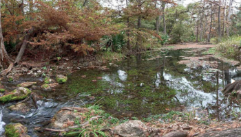 Heony Creek SNA landscape, link