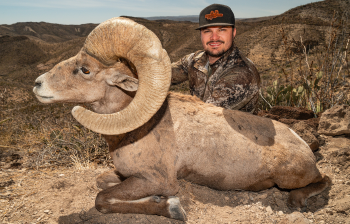 A winner of BTTH, with harvested bighorn sheep, link