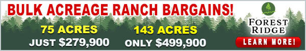 Forest Ridge land for sale, link