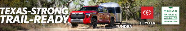 Toyota Tundra '26 ad, link
