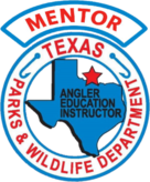 Mentor patch
