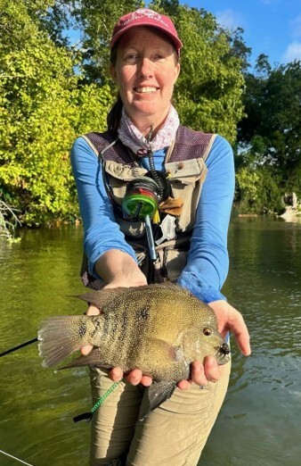 Picture of a Rio Grande Cichlid caught on a fly rod