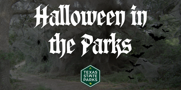 Halloween in the Parks