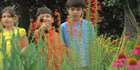 kids by native flowers