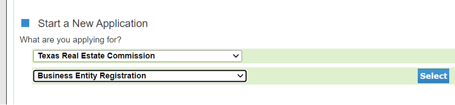 biz entity application