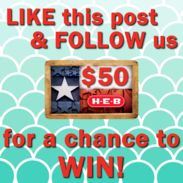 Follow Us On Instagram for a Chance to Win