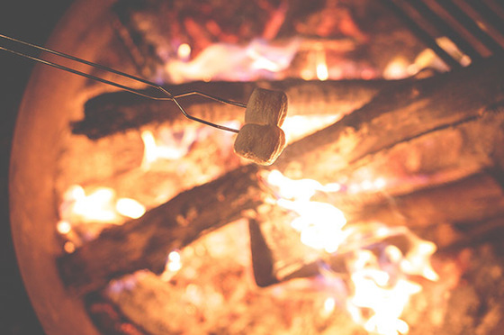 Roasting Marshmallows Over Campfire