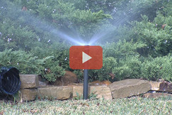 Irrigation Video