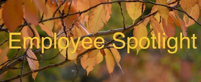 Employee Spotlight