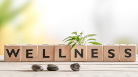 Wellness