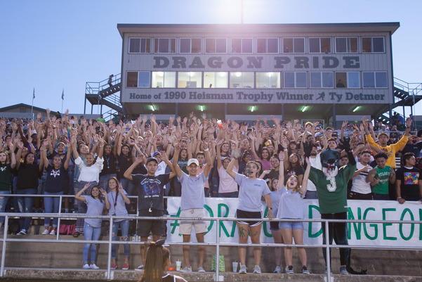 image of football crowd