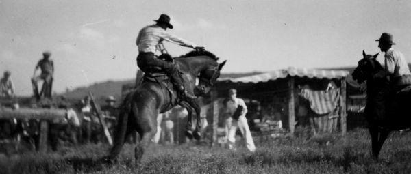 Historic image of a cowboy on a bucking bronco