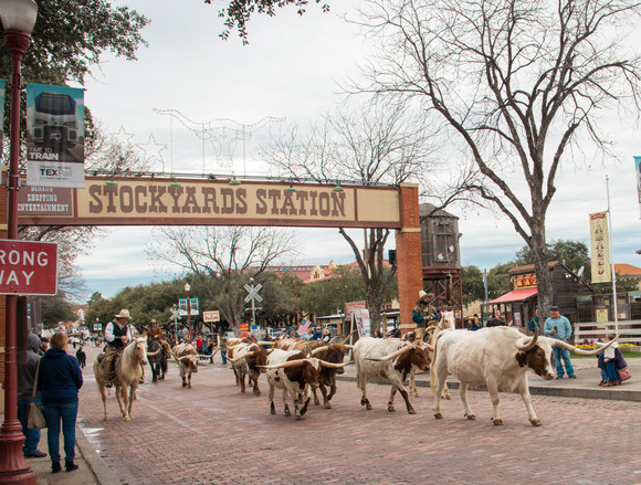 Fort Worth Stockyards