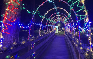 Walkway lit with Christmas lights